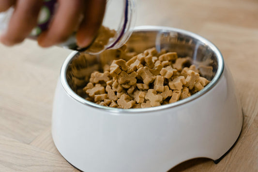 Homemade Treats Your Pet Will Love