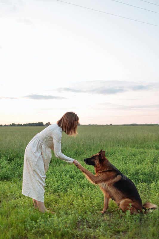 Understanding Your Pet’s Body Language: A Guide for Pet Owners