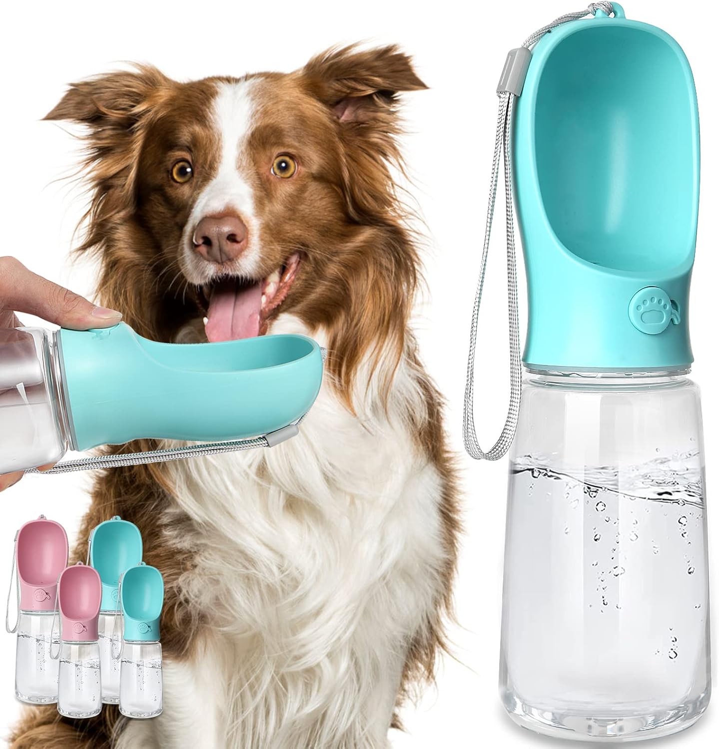 Paws & Hydrate Bottle