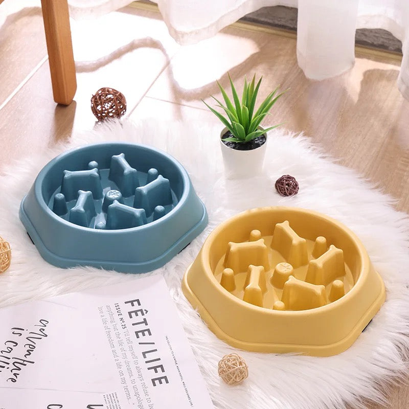 Paws & Puzzle Bowl