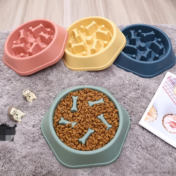 Paws & Puzzle Bowl