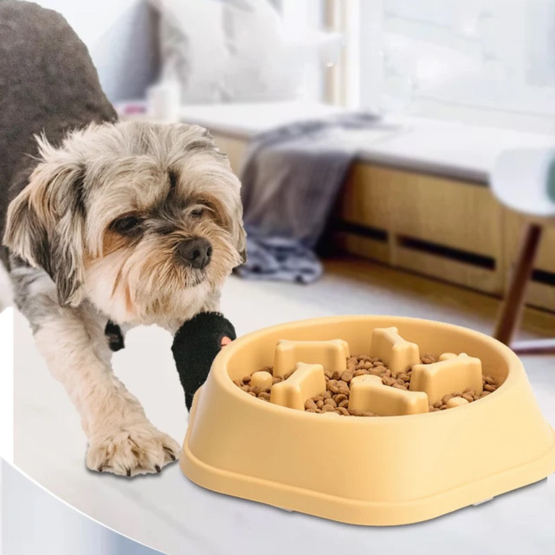 Paws & Puzzle Bowl