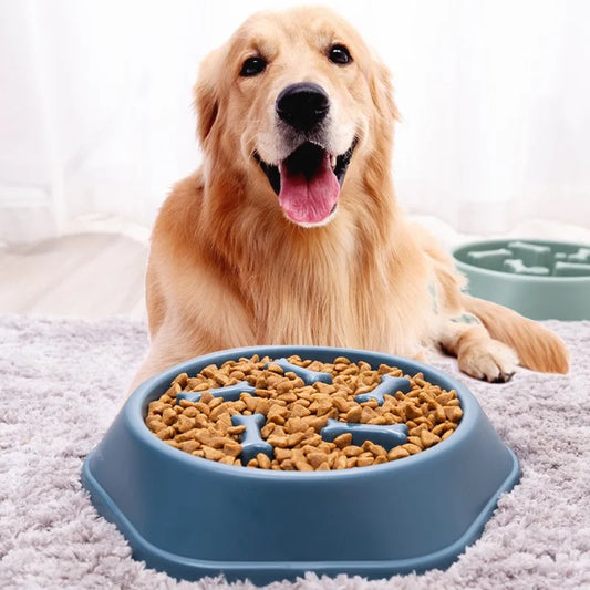 Paws & Puzzle Bowl