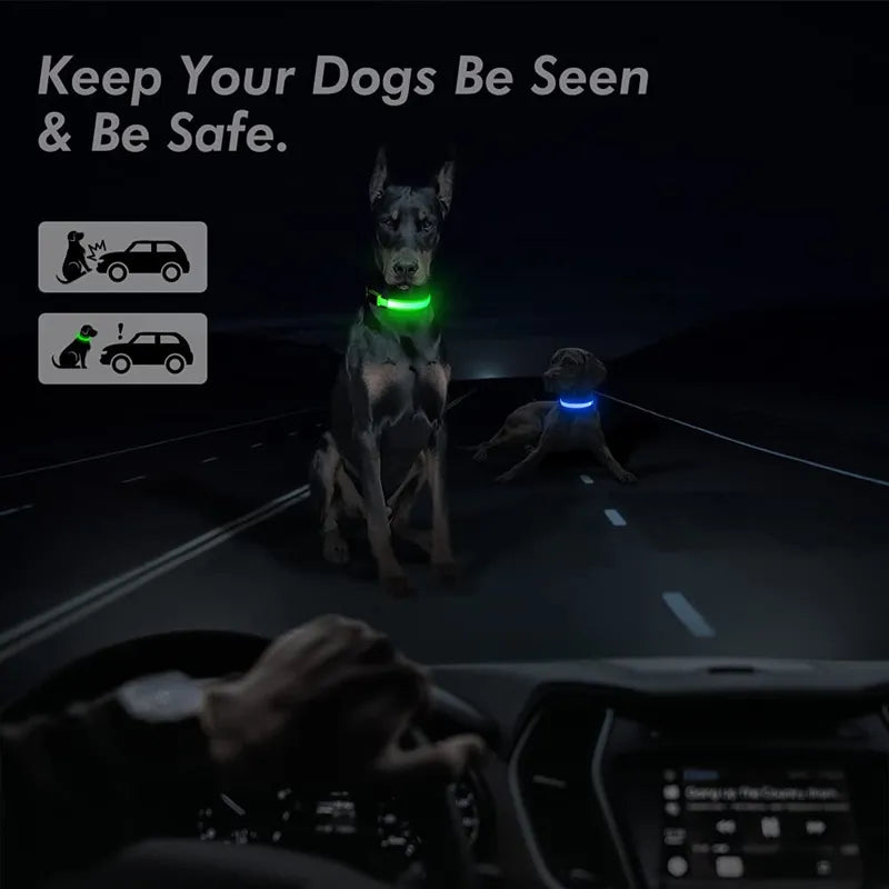 LED Glowlight Collar