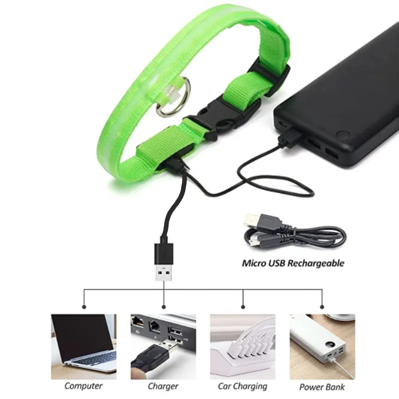 LED Glowlight Collar