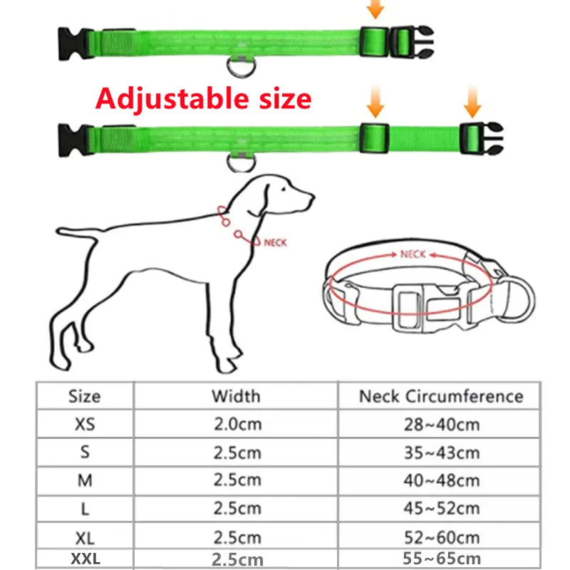 LED Glowlight Collar