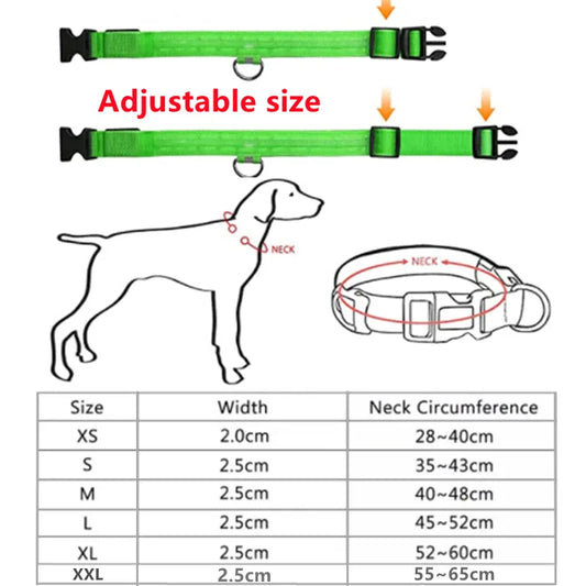 LED Glowlight Collar