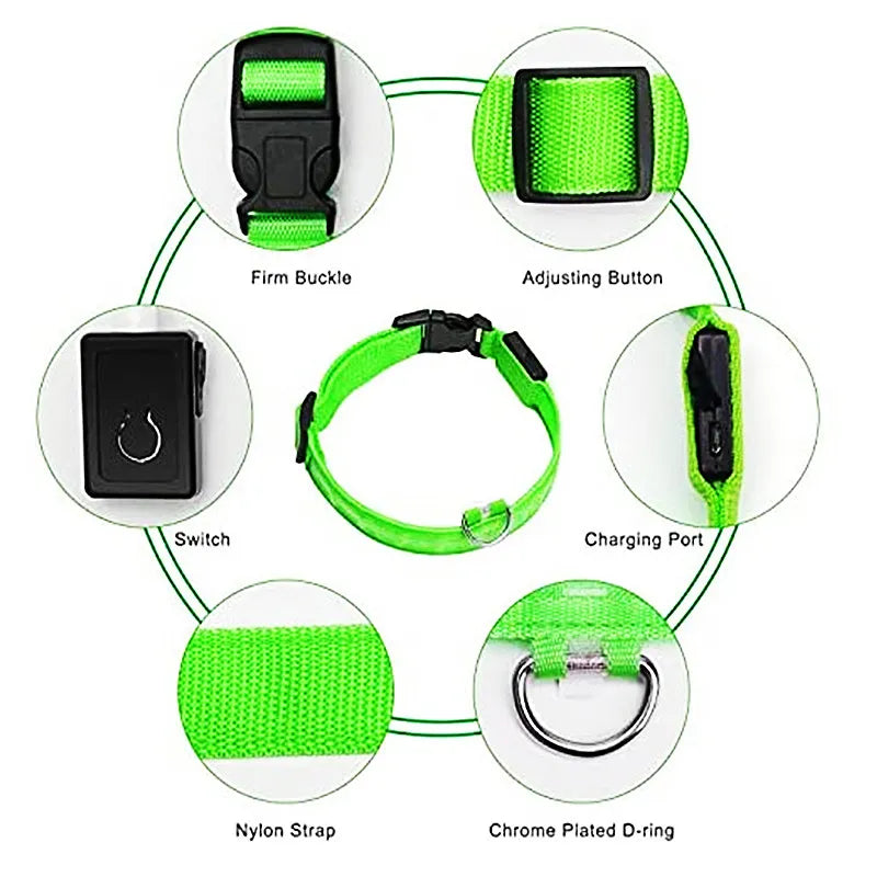 LED Glowlight Collar