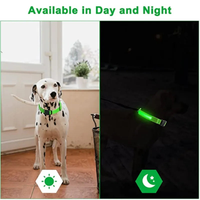 LED Glowlight Collar