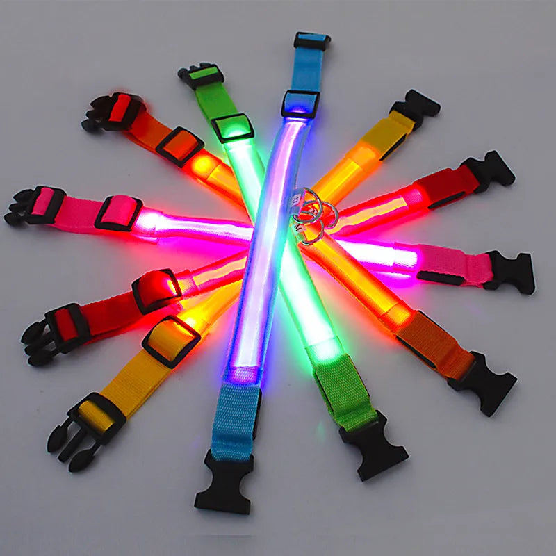 LED Glowlight Collar